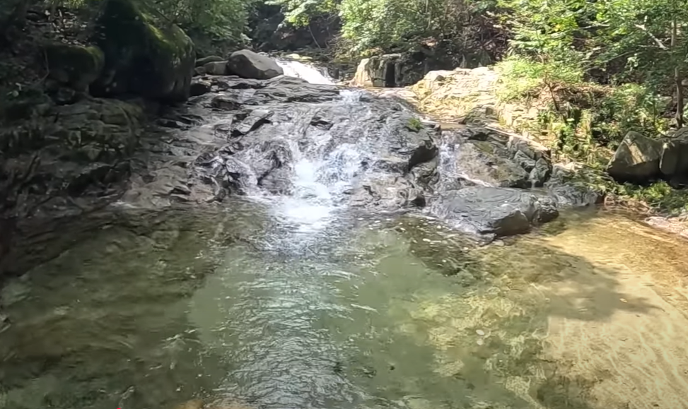 백운계곡: 깨끗한 물과 산림욕을 동시에
