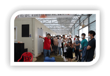 4대 스마트팜혁신밸리 교육 품목, 과정, 장단점 비교(스마트팜코리아)