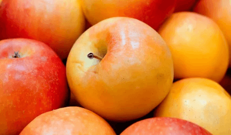 설 선물세트 추천