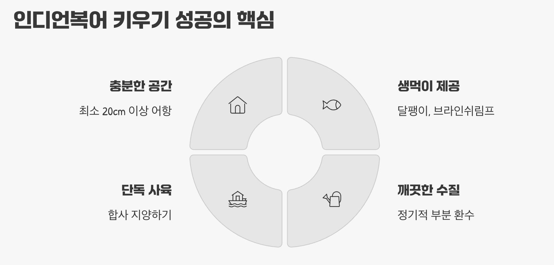인디언복어 키우기 성공의 핵심