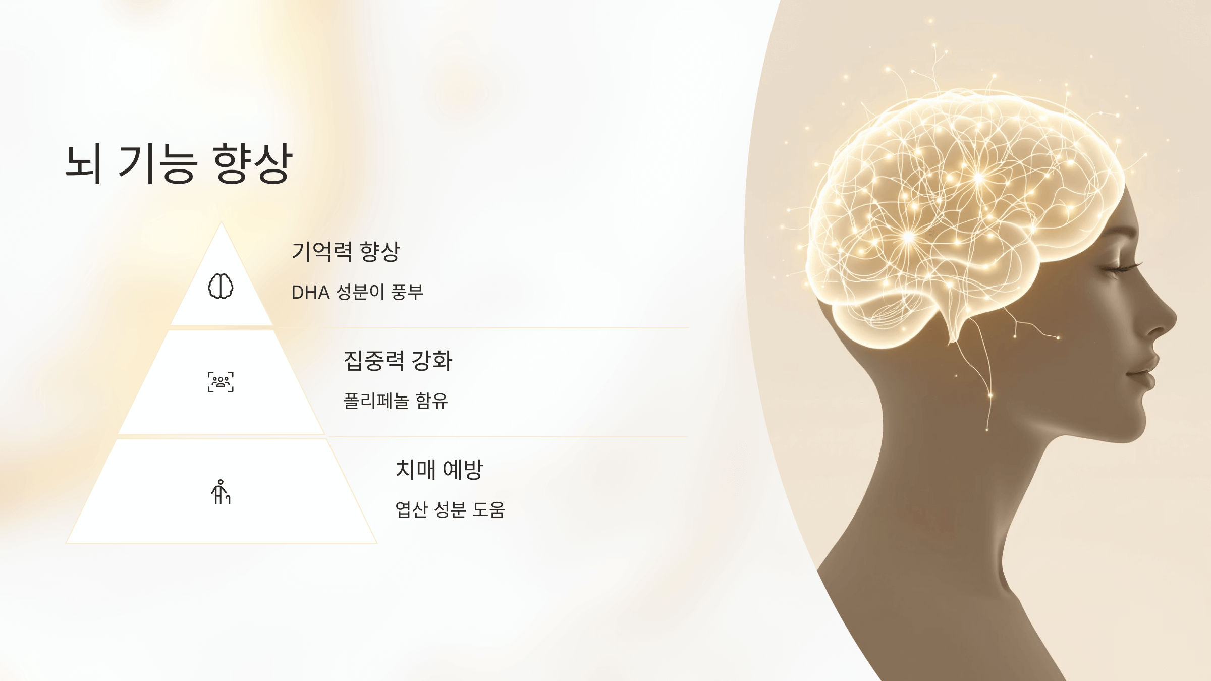 호두 사진입니다.