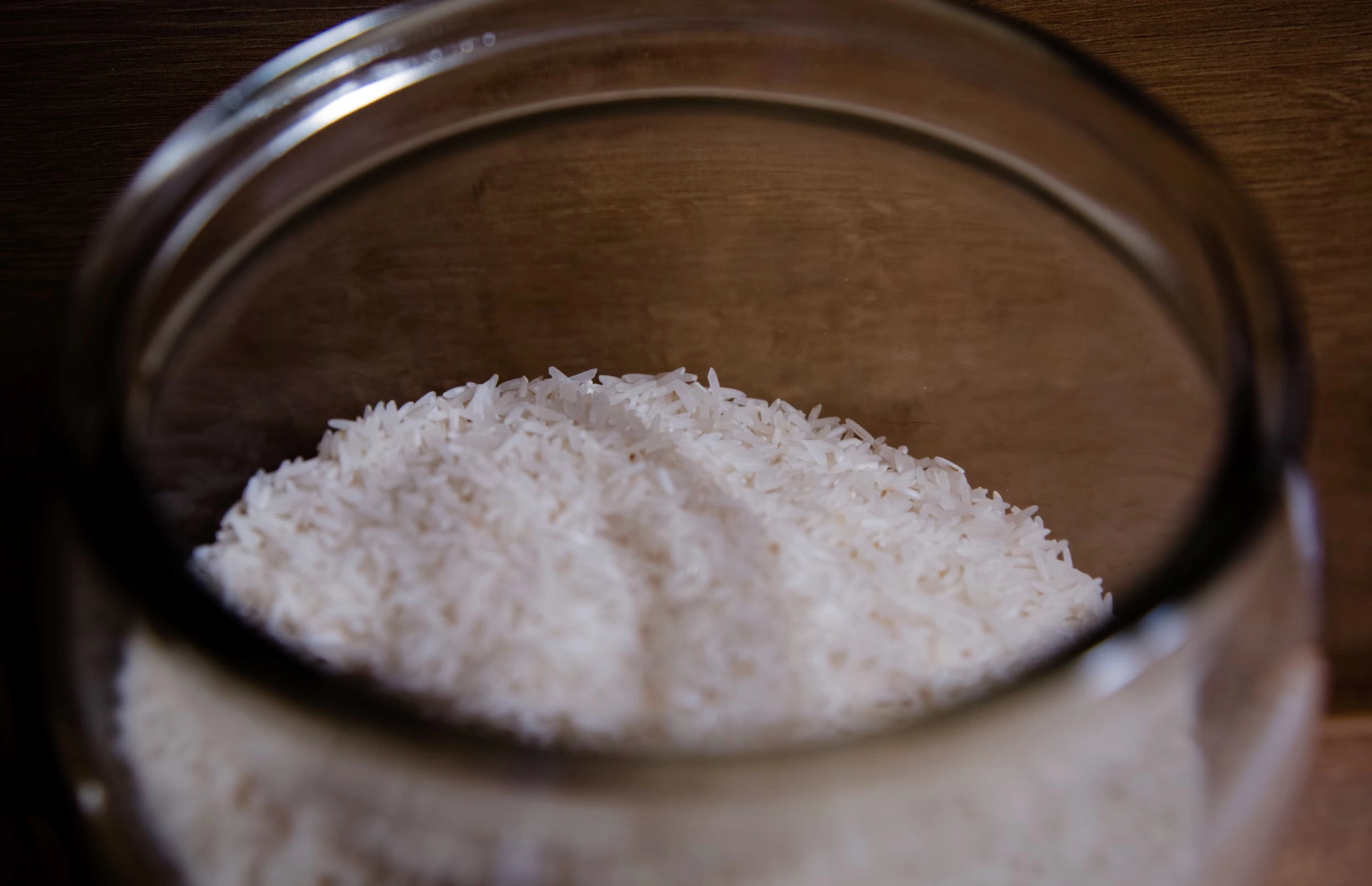 설탕 대신 스테비아