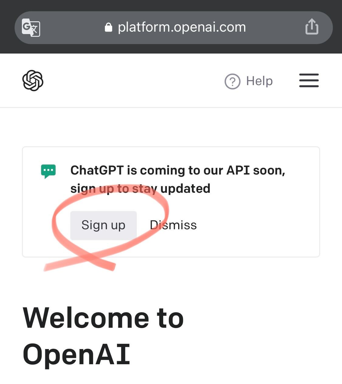 openai 로그인