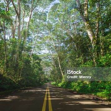 하와이의 보물, 마우이 할레아칼라와 로드 투 하나 연계 여행 코스