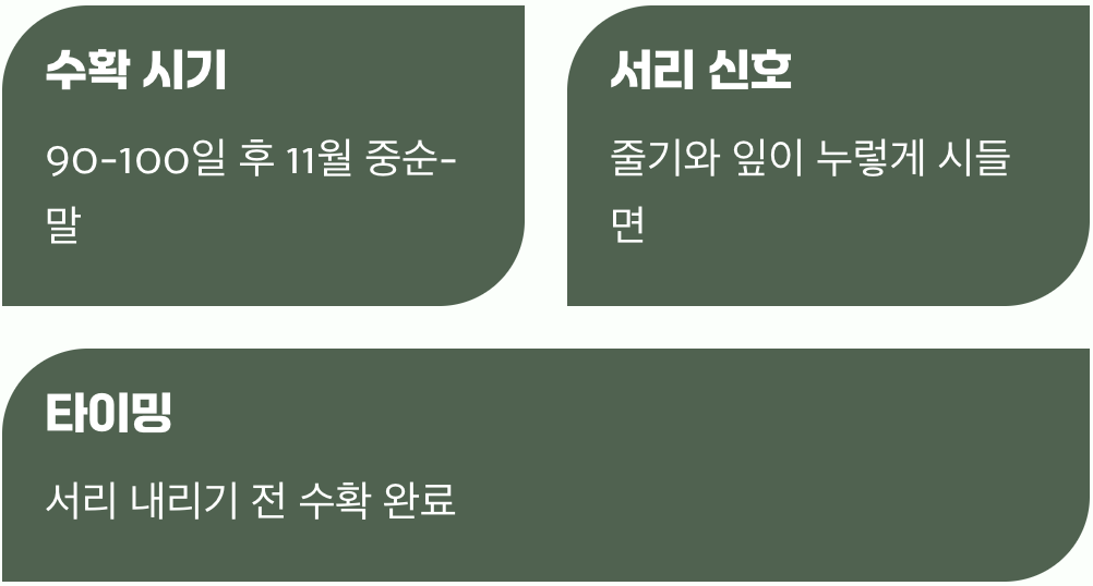 풍성한 수확의 기쁨&amp;#44; 서리 내리기 전