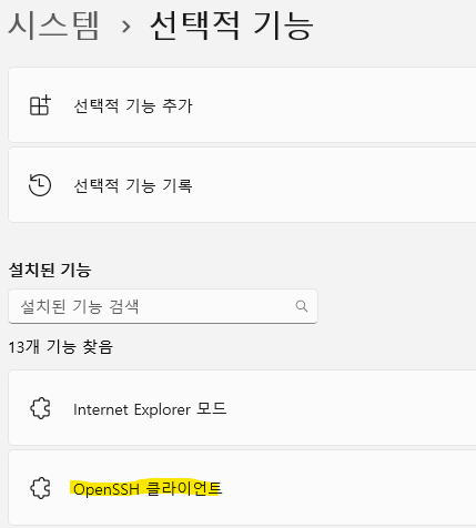 Windows 11 선택적 기능 관리 페이지