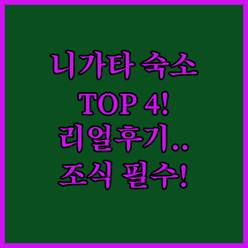 니가타 숙소 추천 TOP 4 실제 투..
