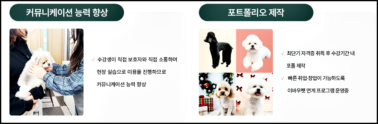 애견미용배우기