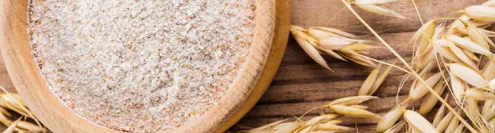 카나리아바이오 기업정보 차트 전망