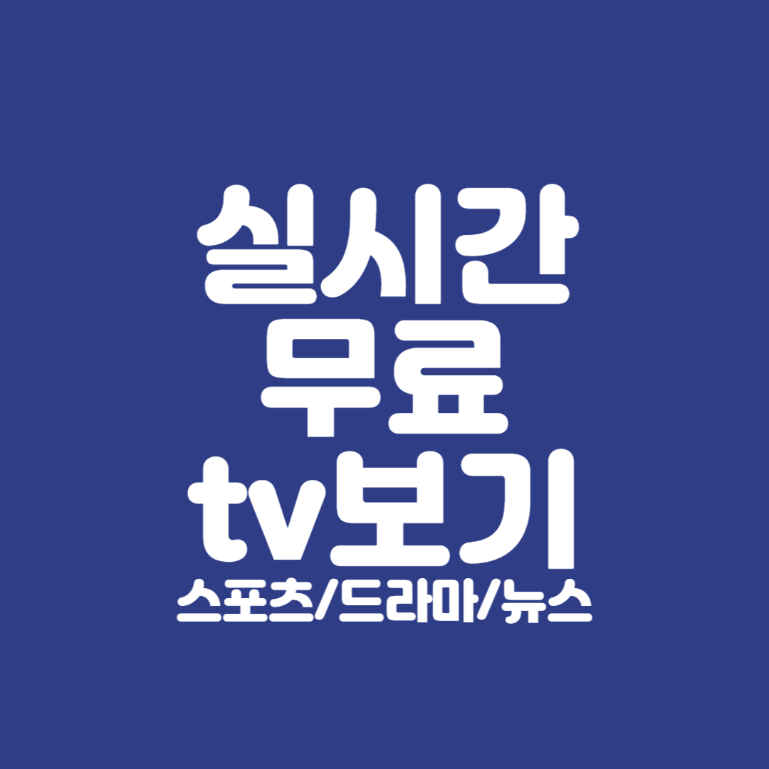 실시간무료티비보기