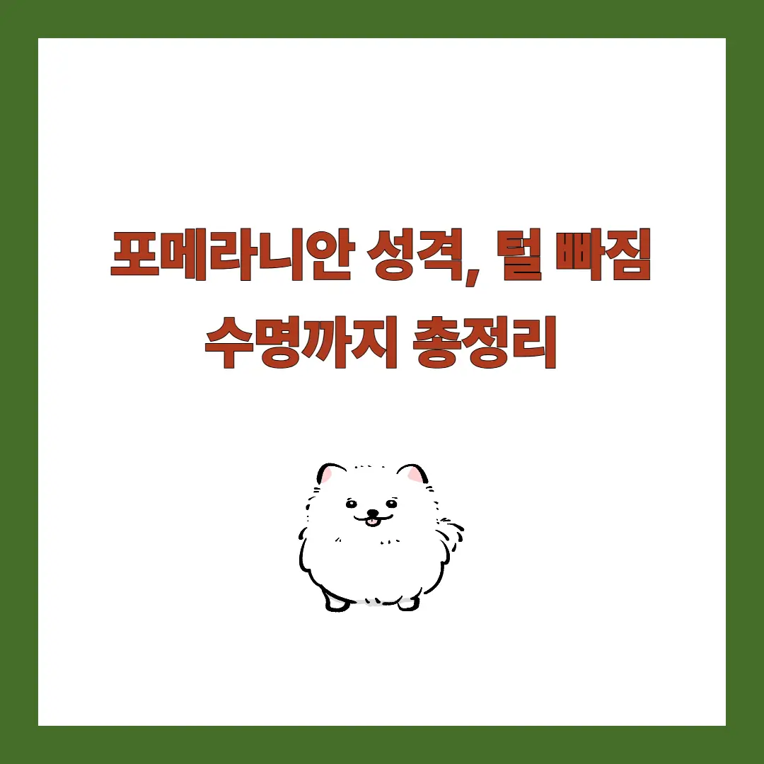 포메라니안 성격