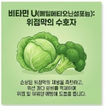 양배추즙의 효능