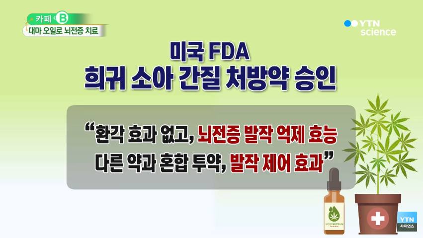 대마종자유
