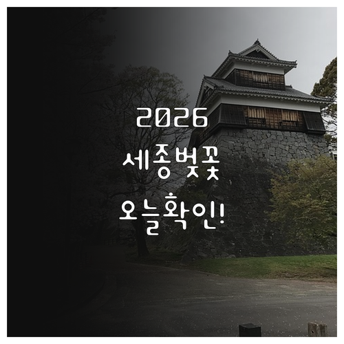 2026 세종 벚꽃 개화 시기 및 만..