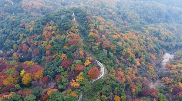 경기도 단풍 명소 남한산성 성벽 단풍길