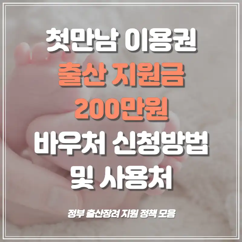 출산지원금 첫만남이용권