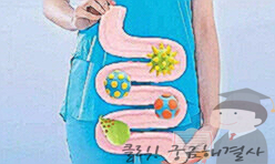 녹십자 포스트바이오틱스 알파