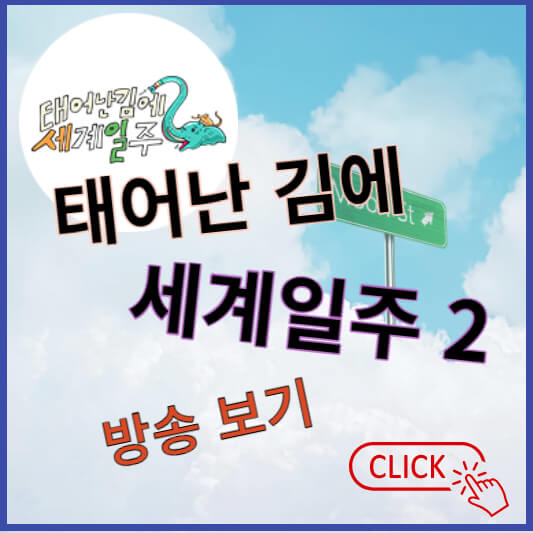 태어난 김에 세계일보2 태계일보2