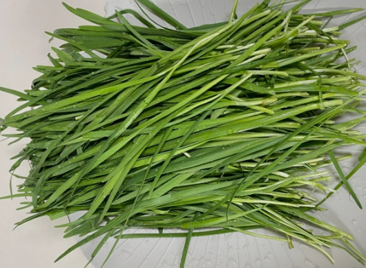 3월에 먹으면 좋은 제철 음식(봄철 음식) - 부추편 (효능&amp;#44; 부추가 들어가는 음식)