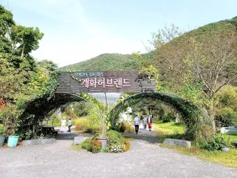 개화예술공원 입장료 보령 식당 가볼만한곳_6