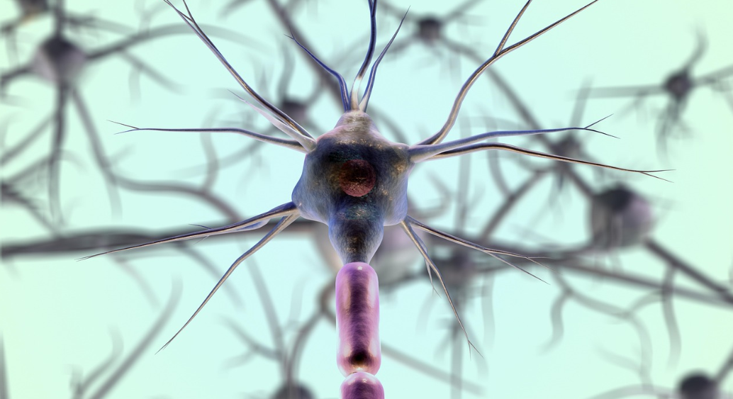 아침 혈압이 높은 이유