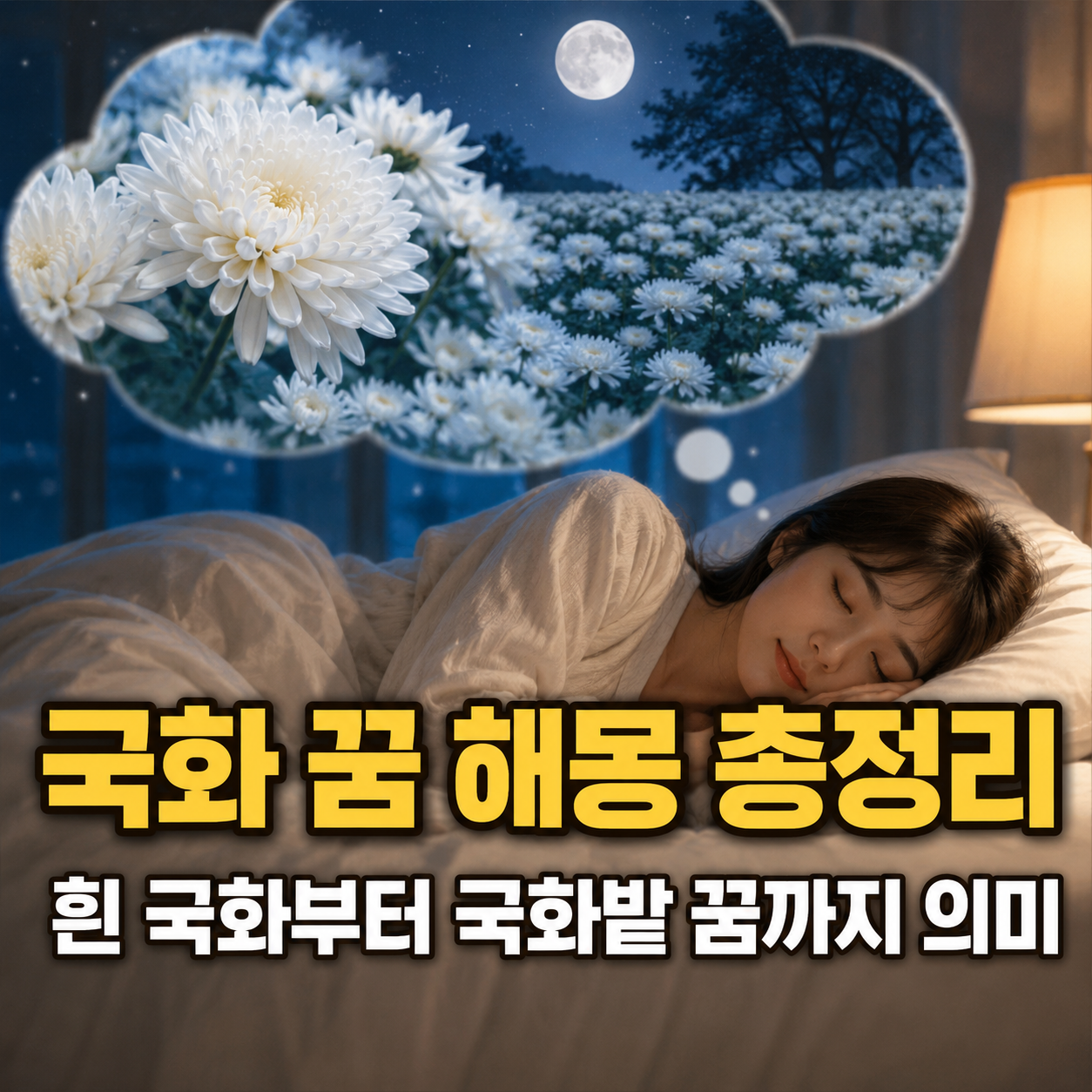 국화 꿈