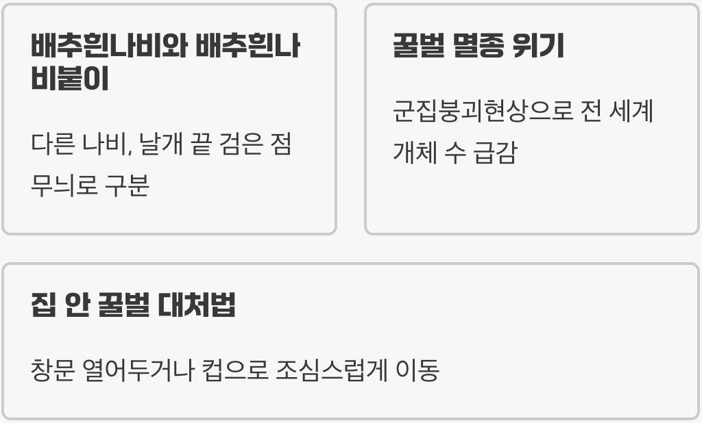 배추흰나비와 꿀벌&amp;#44; 우리 생태계에서 어떤 중요한 역할을 할까?