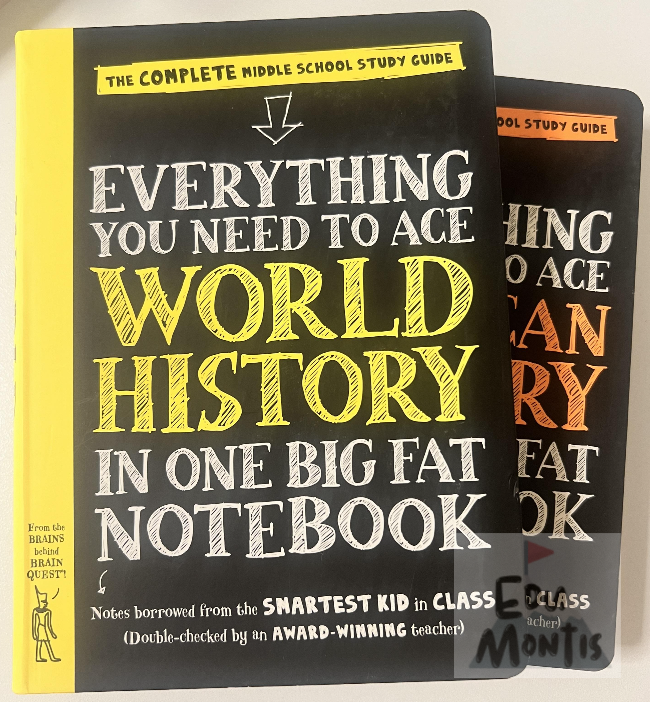 Everything You Need to Ace - World History / American History 표지