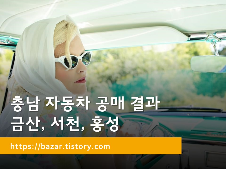 충남 자동차 공매 결과