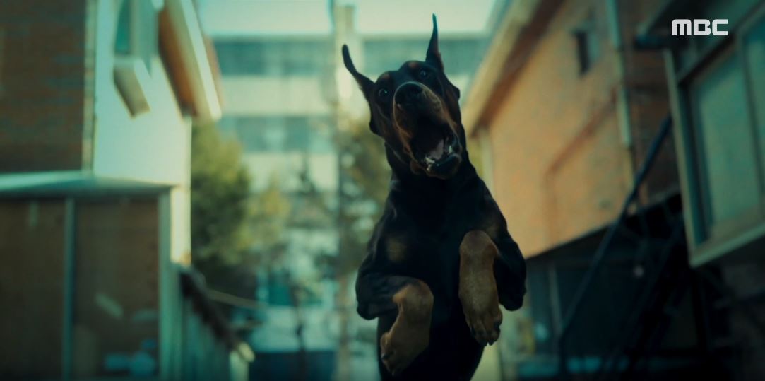 오늘도사랑스럽개_4회