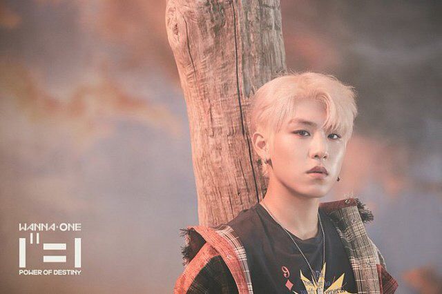 워너원 고화질 사진 강다니엘, 박지훈