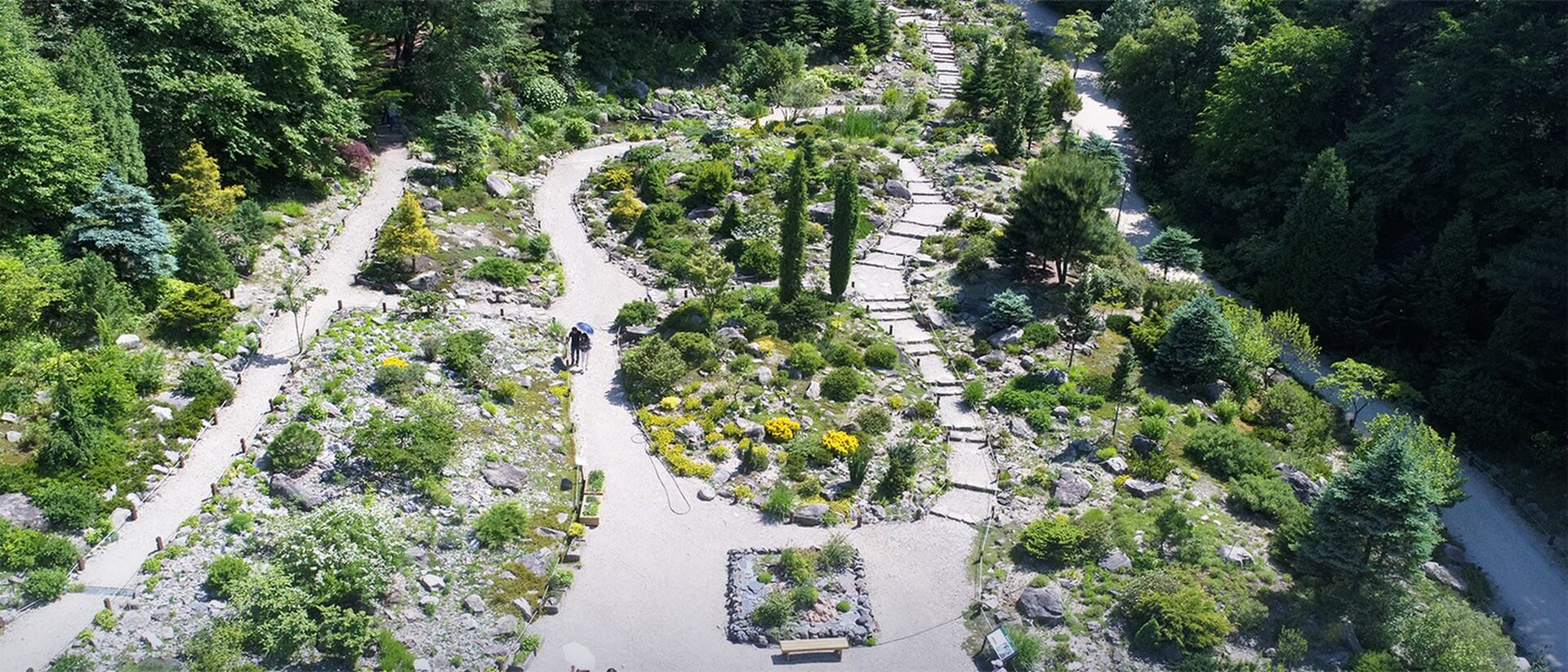 경기도 포천 평강랜드 수국