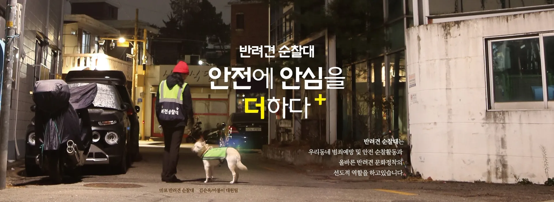 반려견순찰대활동