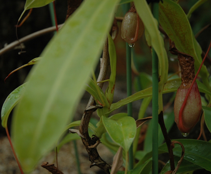 가을여행/가족여행지/추천/전북/대아수목원