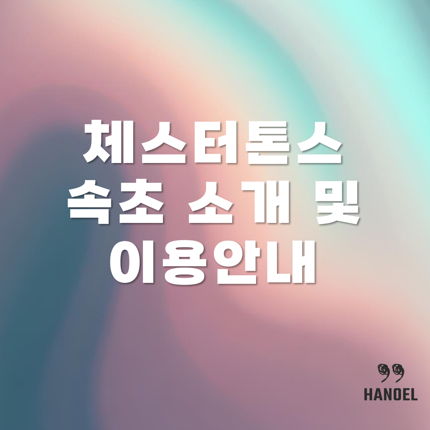 체스터톤스속초 소개 및 이용안내 예약방법 등