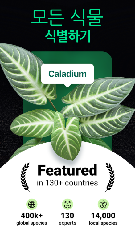 꽃 이름 찾기 어플, 앱에서 식물과 꽃 이름 무료 찾기