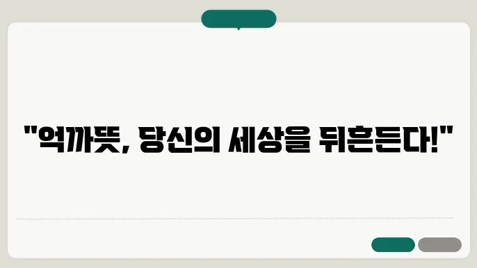 억까뜻
