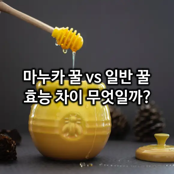 마누카 꿀 vs 일반 꿀 효능 차이