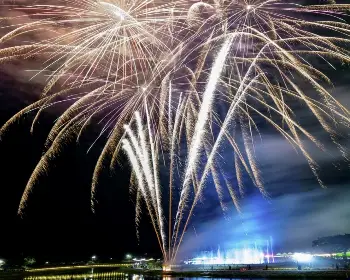 장성 황룡강 가을꽃축제_20