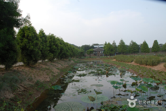 청산수목원