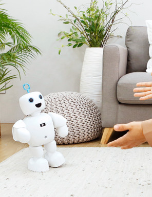 파이보 웹사이트