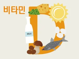 비타민D 효능 부족 복용법 부작용 음식 권장량 한눈에 보기_8