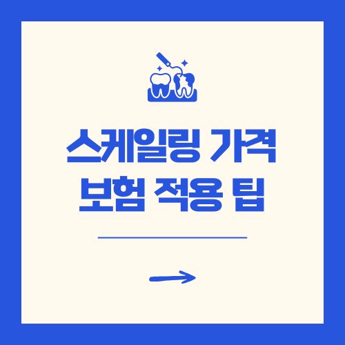 스케일링 가격? 의료보험 적용 비용 가이드