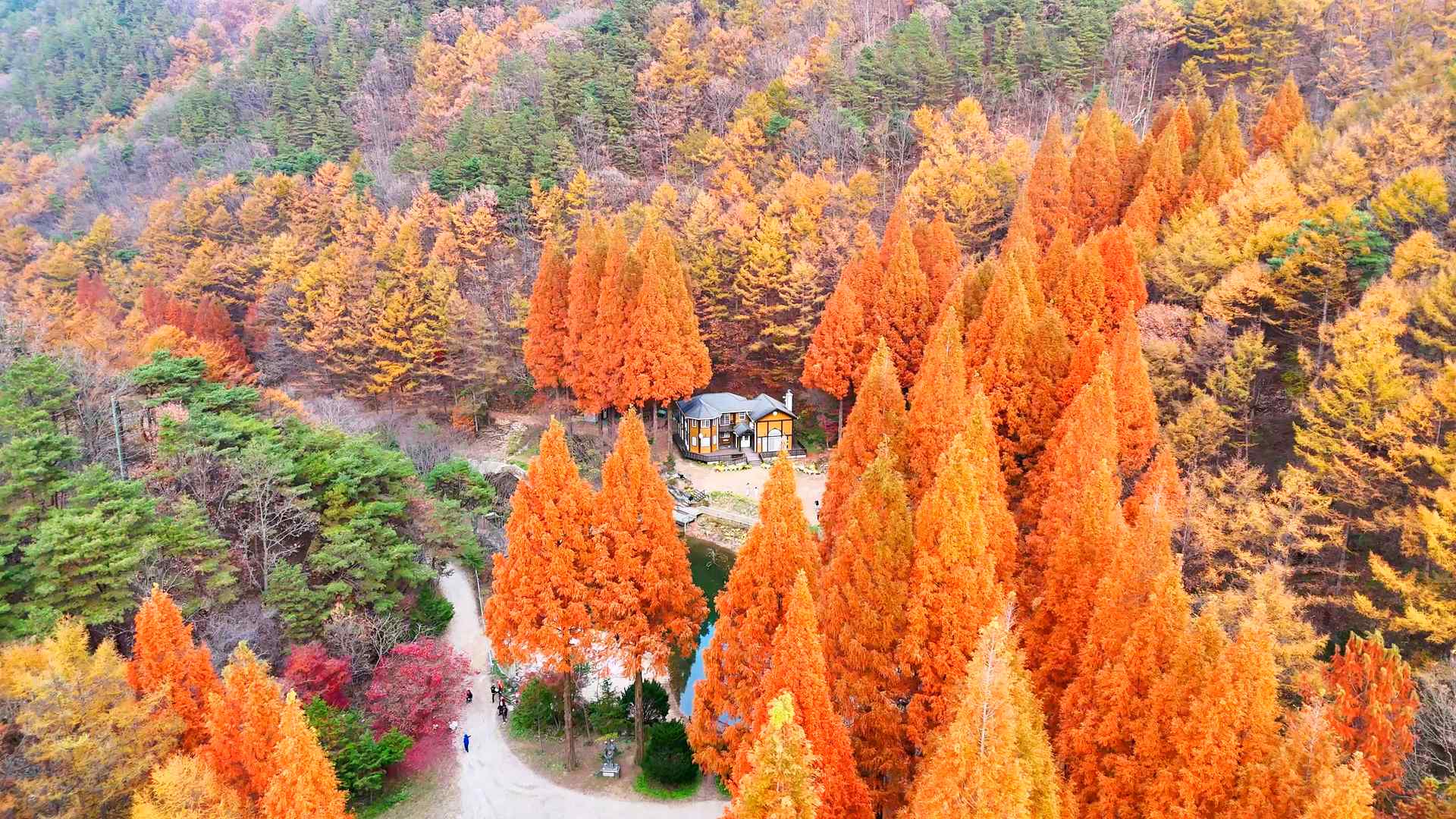 온빛자연휴양림