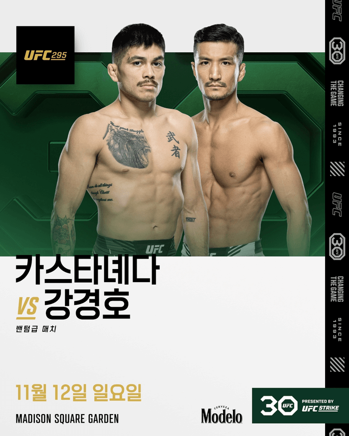 UFC 295 강경호 카스타녜다