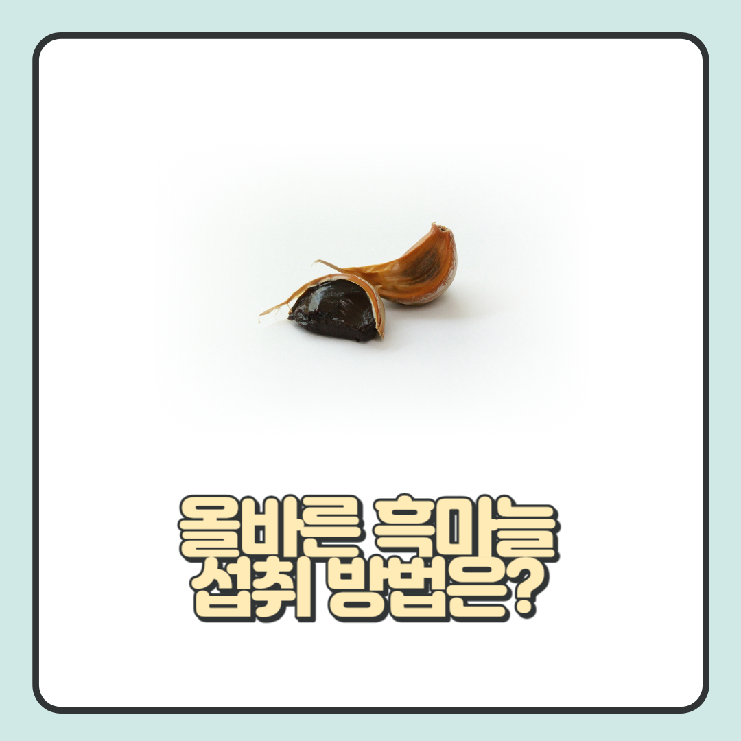 흑마늘 섭취 방법