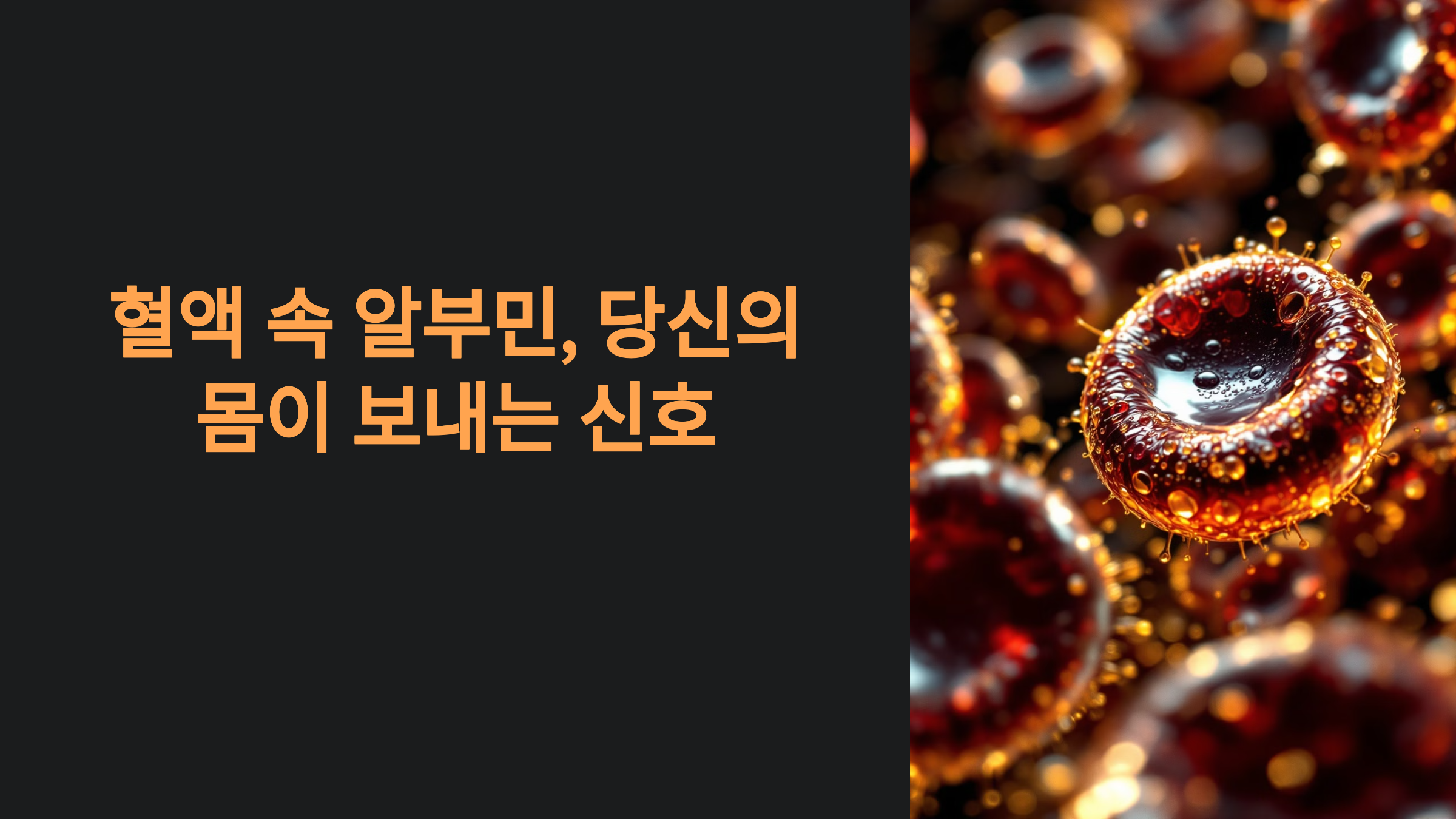 혈액 속 알부민