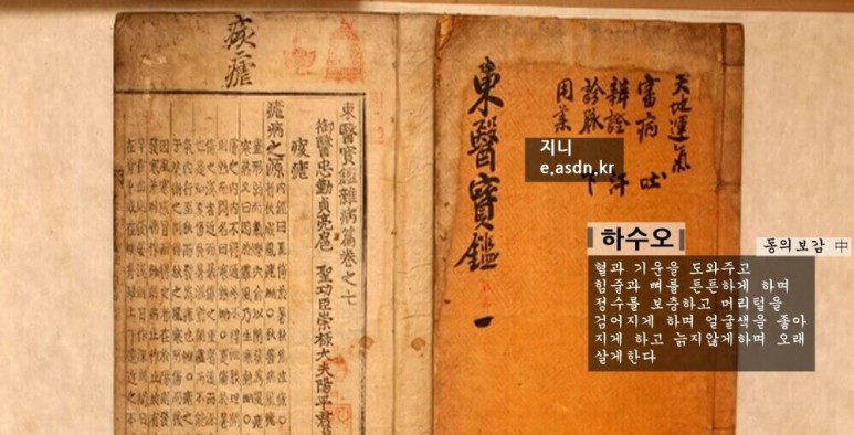 하수오 효능 19가지와 부작용 총정리