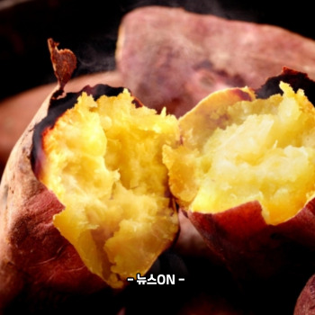 비타민A가 많은 음식