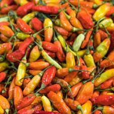 파프리카 효능 부작용 고르는법 칼로리